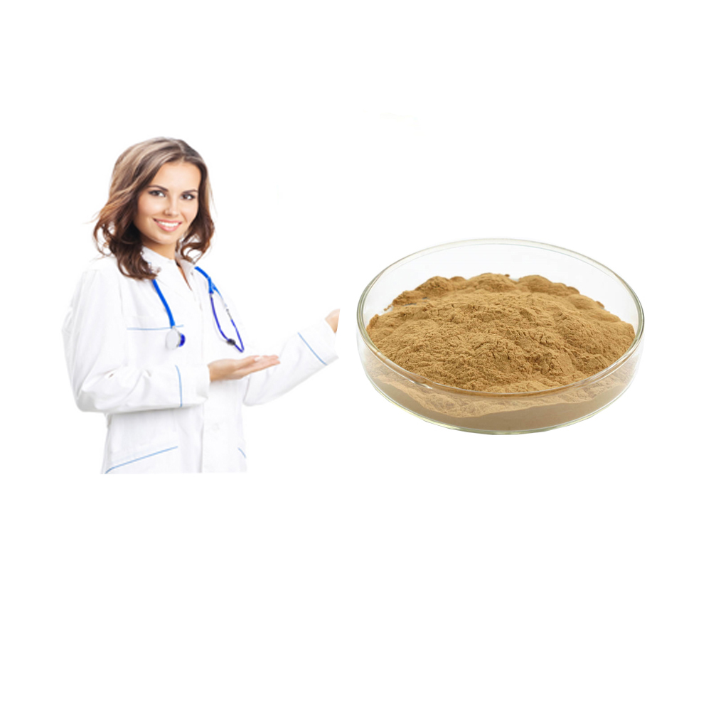 Natural Feverwort Extract Powder 10:1Japan Bogorchid Extract Herba Lycopi Extract 20:1