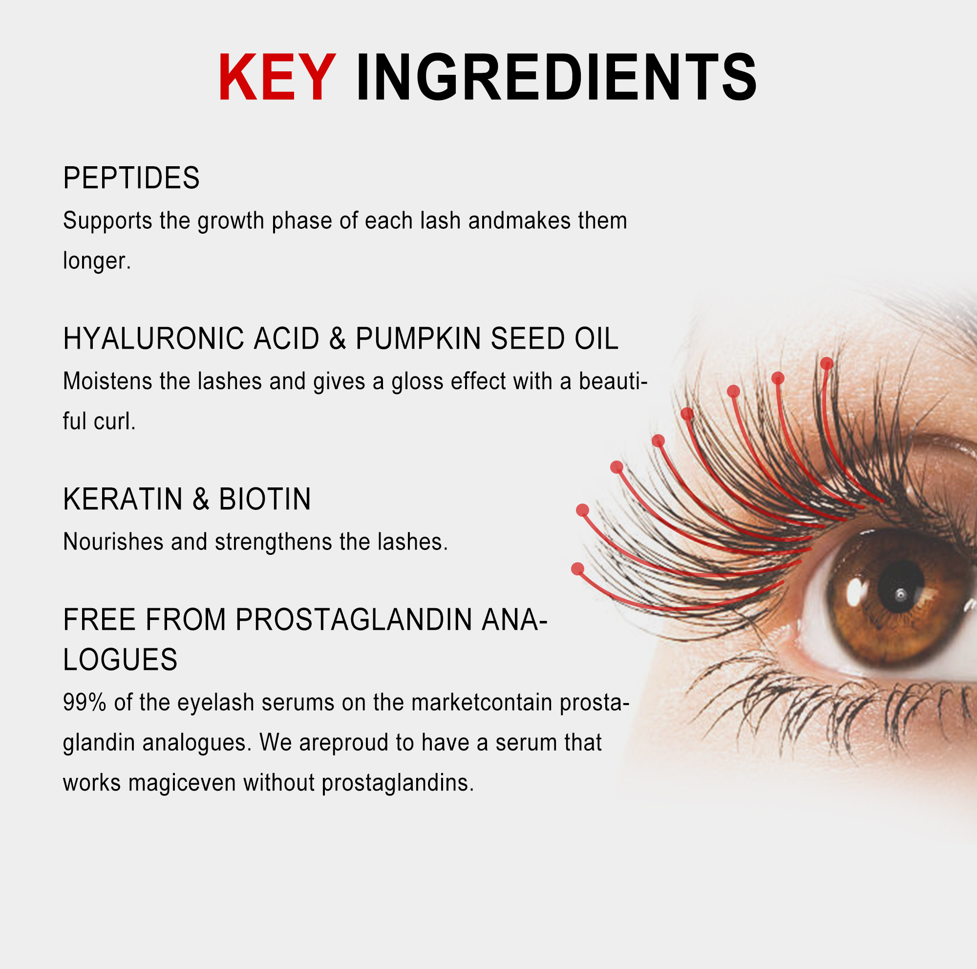 Lash Oil No Hormones Top Selling Dht Blocker Free Ginger Vegane Longer Eyelashes Extension Aloe Eyelash Growth Serum From Korea