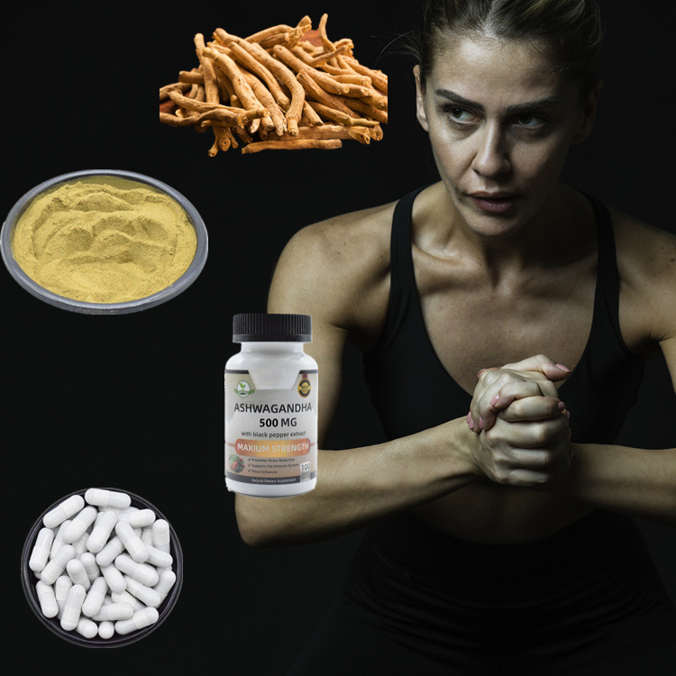 Standardized Natural Raw 2.5% 5% 10% Withanolides Certified Organic Ashwagandha Root Extract Capsules Ashwagandha Powder