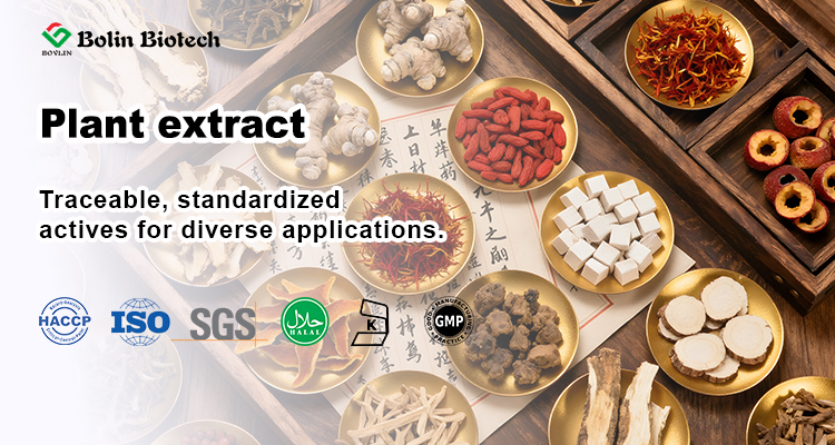 Rhubarb Extract Raw Material