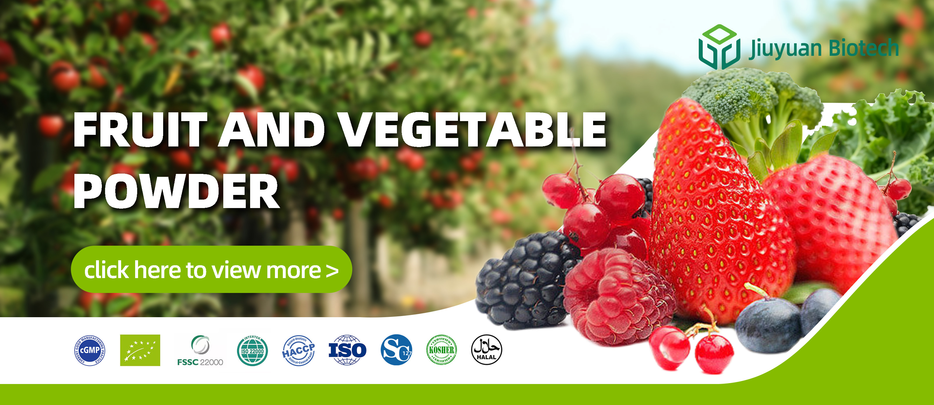 Sour Jujube Kernel Powder Overview