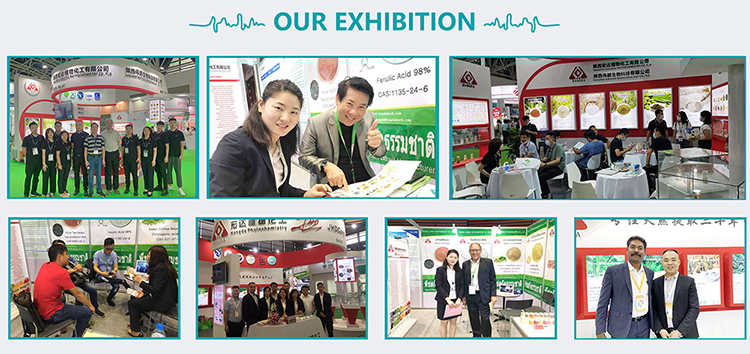 Exhibition Booth 1