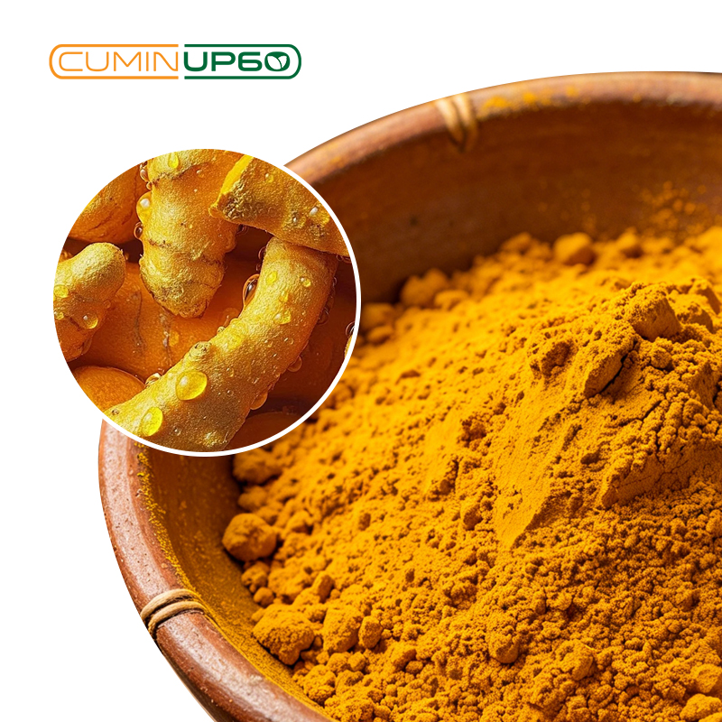 Anti-Inflammatory CuminUP60 Curcumin Root Extract Food Grade Herbal Extract High Bioavailability Natural Antioxidant