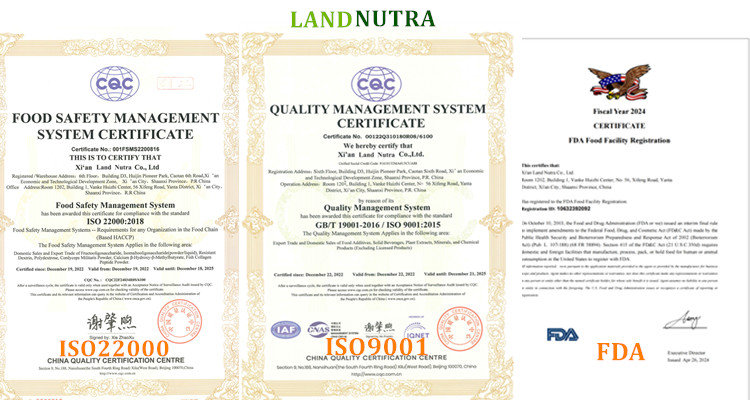 Wholesale Bulk Pure Organic Reishi Mushroom Extract Ganoderma Lucidum Powder Reishi Mushroom Extract Powder