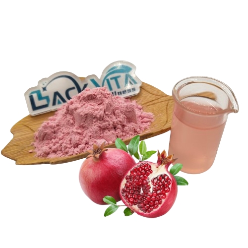 Pomegranate Fruit Herbal Extract Powder Pomegranate Instant Powder Drink Fruit Flavoured Pomegranate Powder Bulk