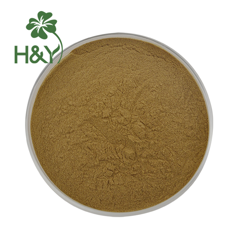 Wholesale Herbal Mugwort Herb Extract Mugwort Extract Powder