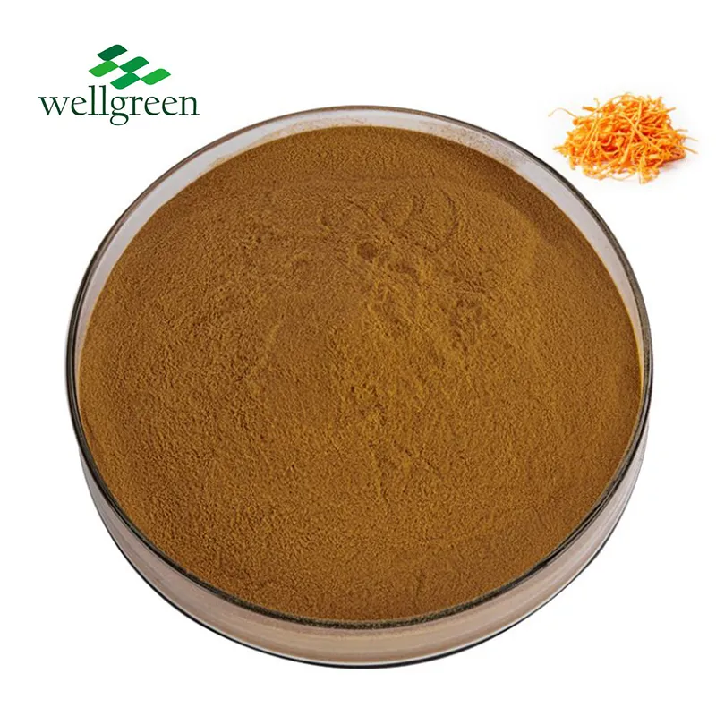 Water-Soluble Cordyceps Extract Keto-Friendly Functional Food Cordyceps Militaris Mushroom Extract