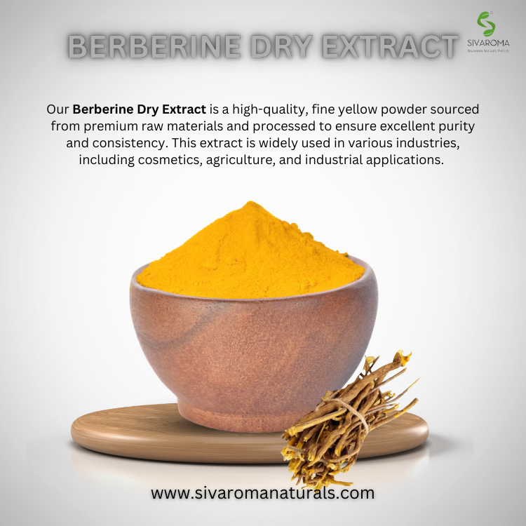Berberine Dry Extract Powder Showcase