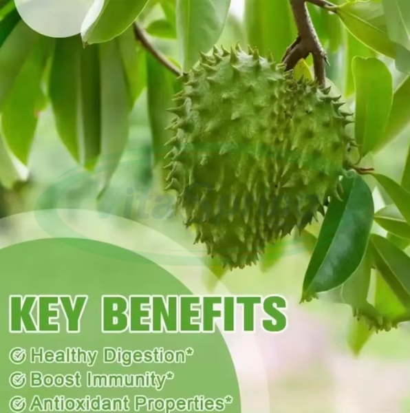 VitaSpring OEM Soursop Graviola Extract Drops Immune Support Supplement Pure Natural Organic VeganSoursop Graviola Liquid Drops