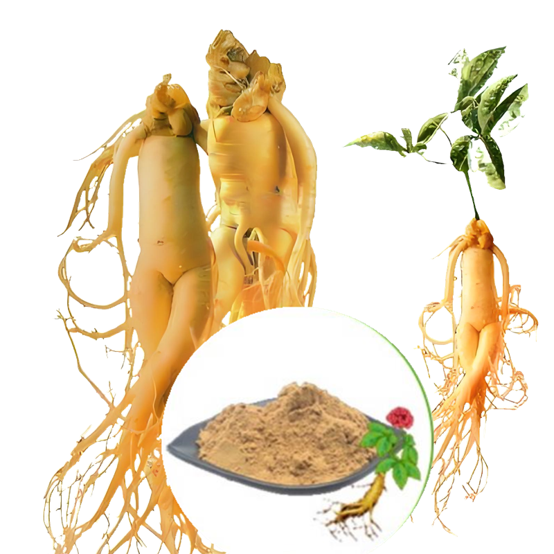 Wholesale Wholesale Plant Extract Ashwagandha Root Extract Powder Withanolides 2.5% 5% 10% C Ayurvedic Extract