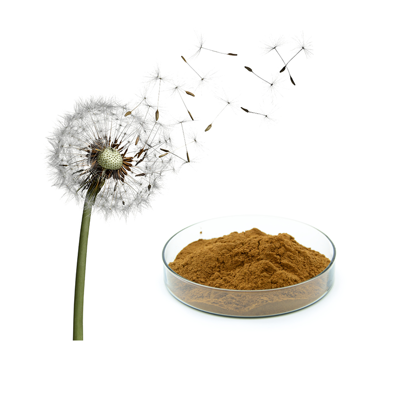 Dandelion Root Extract Standard Analysis