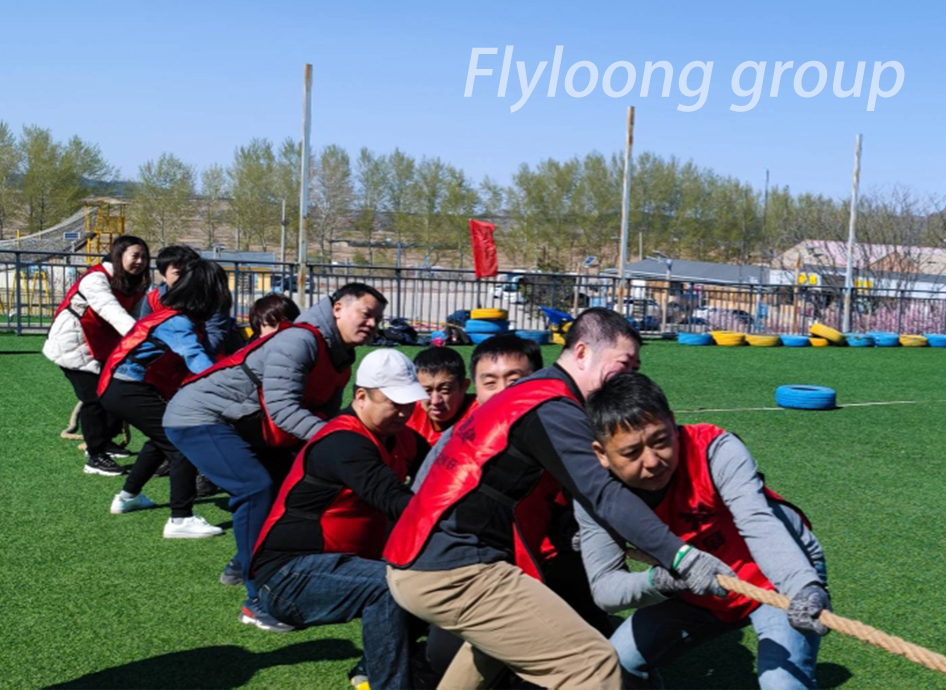 Team Activities 2