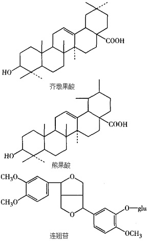 Forsythia Fructus Extract Forsythin 1% to 98% Oleanolic Acid Anti Inflammatory Immune Support Powder Customizable Herbal Bulk