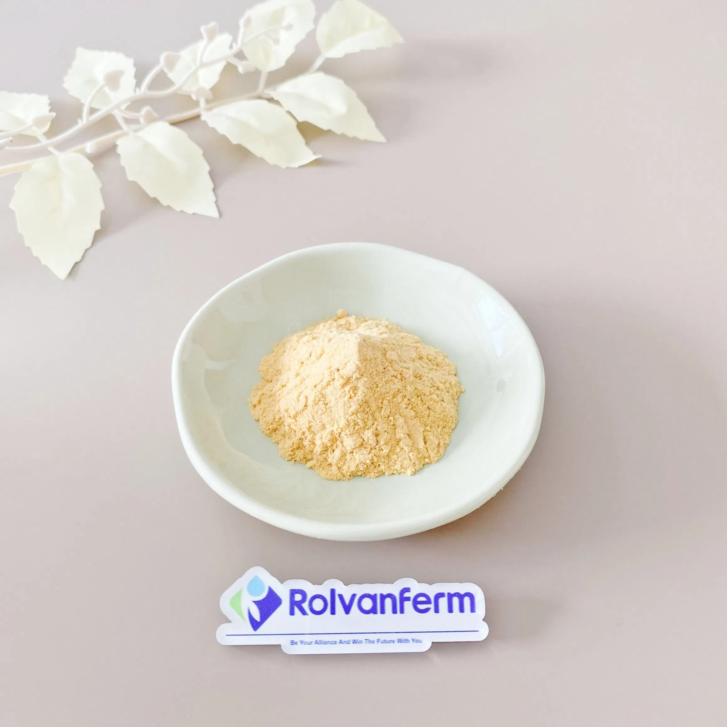 Ginger Root Extract Raw Material Zingiber Officinale Botanical Ingredient for Supplement Manufacturing and Functional Nutrition
