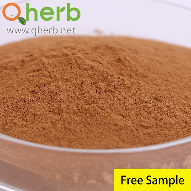 ISO Certificate Natural Nutrition Pumpkin Flour Powder/Pumpkin Seed Extract with Best Price
