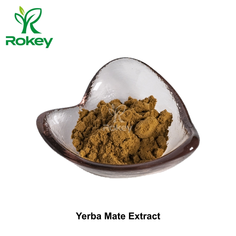 Natural Energy &amp; Focus Enhancer Premium Powdered Yerba Mate Extract