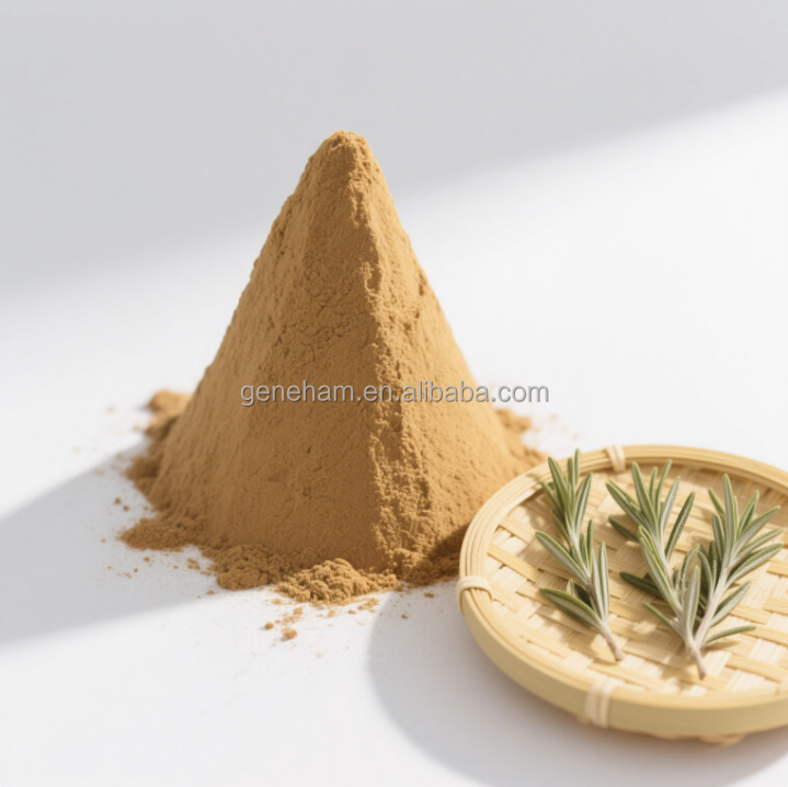 Carnosic Acid Oil-Soluble Rosemary Herbal Extract Food Grade Natural Preservative