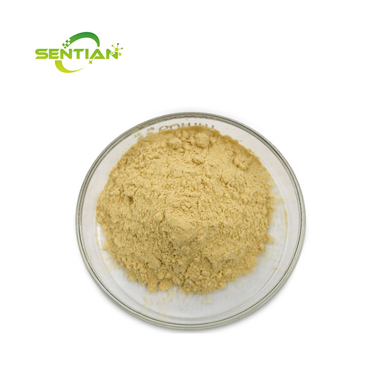 Plant Extract Chinese Traditional Herb Siberian Ginseng Extract Panax Ginseng Extract