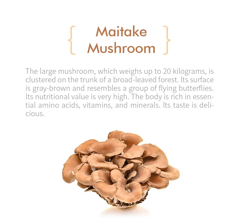Buy First Serve 1oo% Water Soluble Herbal Extract Maitake Mushroom Extract