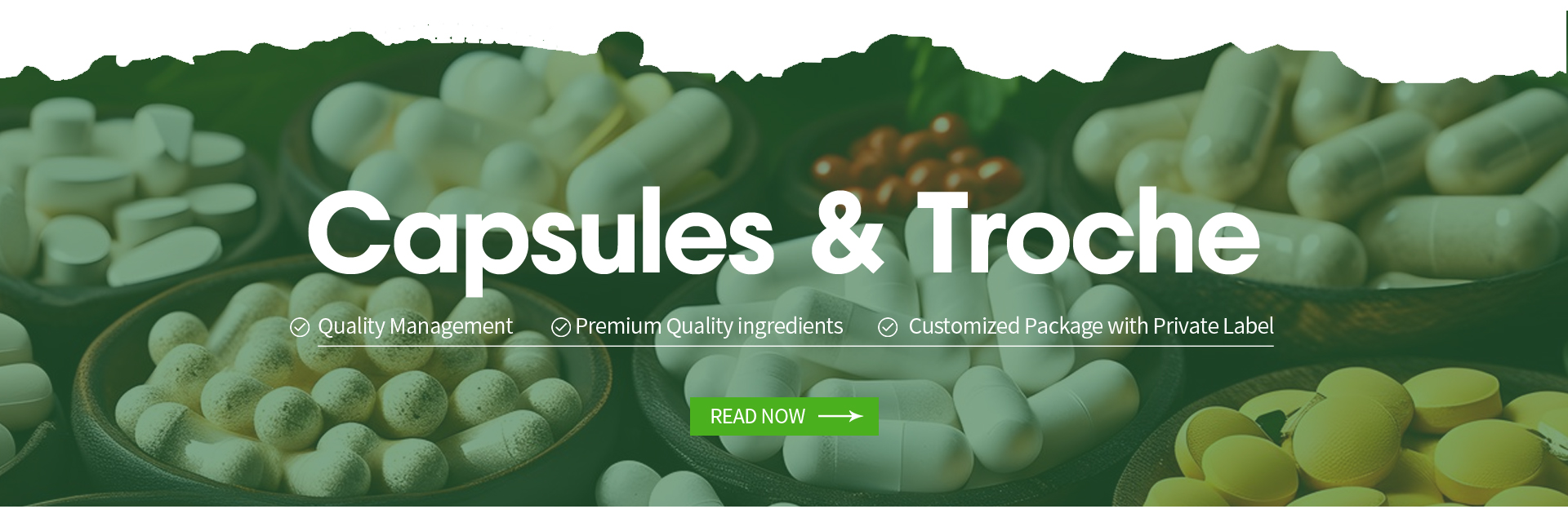 Organic Beet Root Extract Capsules 60% with Vitamin C Artificial Planting with Vitamin C Concentration Herbal Supplement