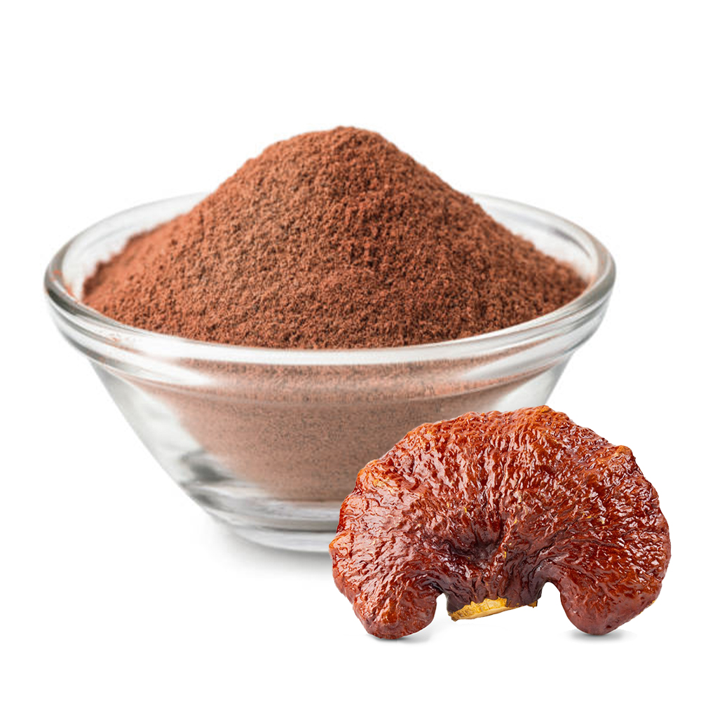 Standardized Mushroom Powder Reishi Extract Powder and Ganoderma Lucidum for Comprehensive Care