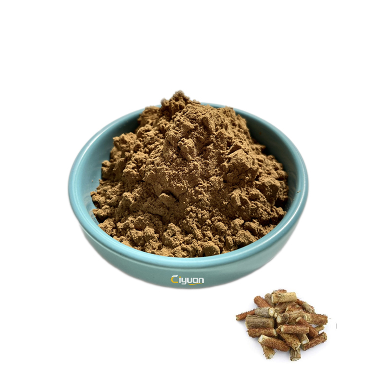 Free Sample Fruiterco Acanthopanax Eleutherococcus Senticosus Root Extract Chinese Traditional Herb Siberian Ginseng Extract