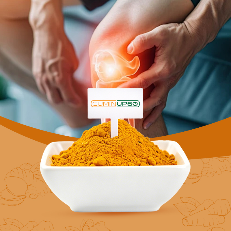 Anti-Inflammatory CuminUP60 Curcumin Root Extract Food Grade Herbal Extract High Bioavailability Natural Antioxidant