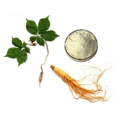 Best Herbal Supplements Panax Ginsenosides Ginseng Root Extract Water Soluble Powder