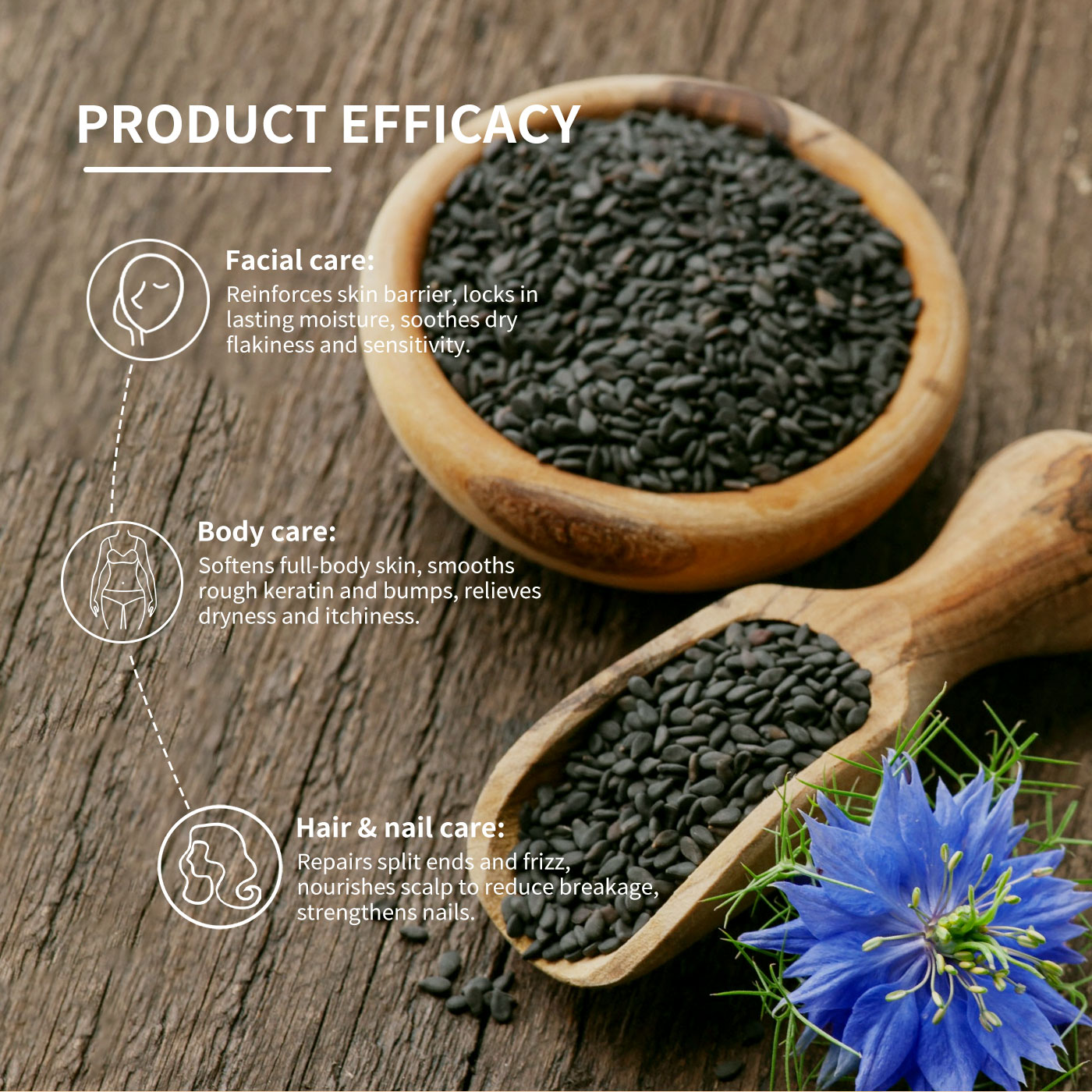 Factory-direct Wholesale Of 100% Natural, Organic, Cold-pressed Black Seed Essential Oil For Premium Skincare And Body Massage