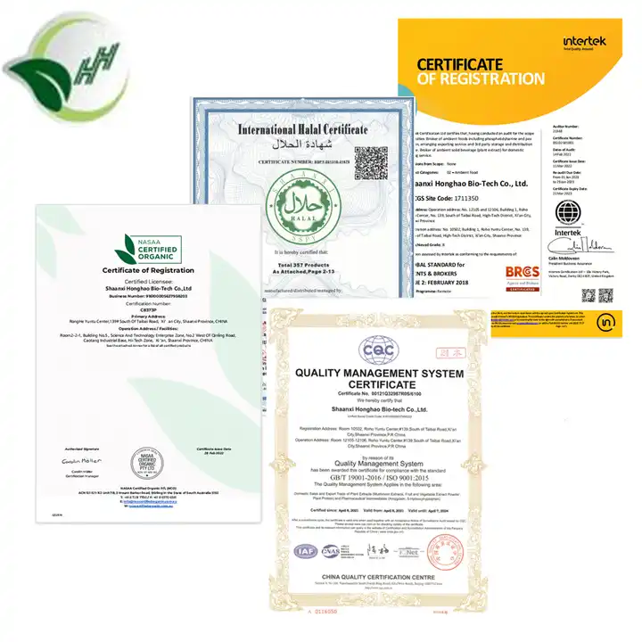 Chinese Herb Chinese Angelica Root Extract/ Dong Quai Extract Powder