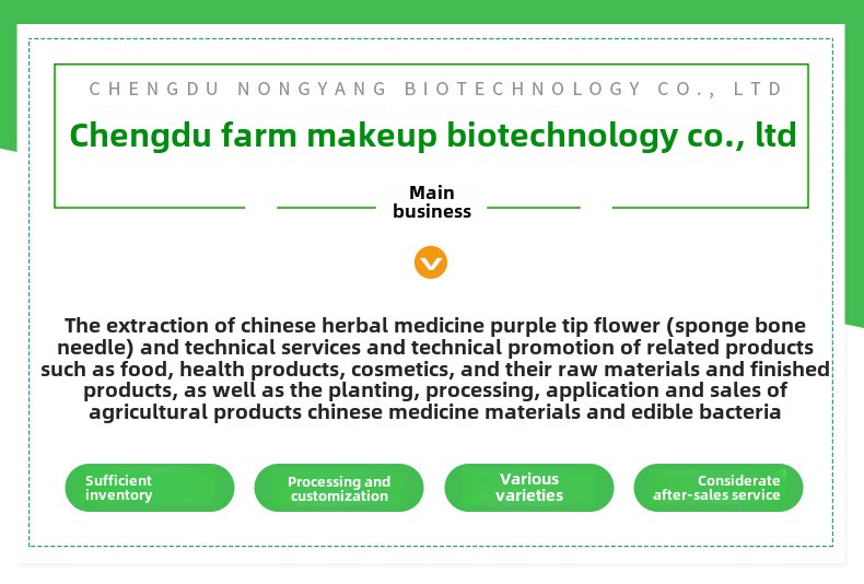 Professional Salon Product Lines 10% Natural Standardized Soapberry Extract Aloe Vera Extract Vitamin for Hair Growth Serums