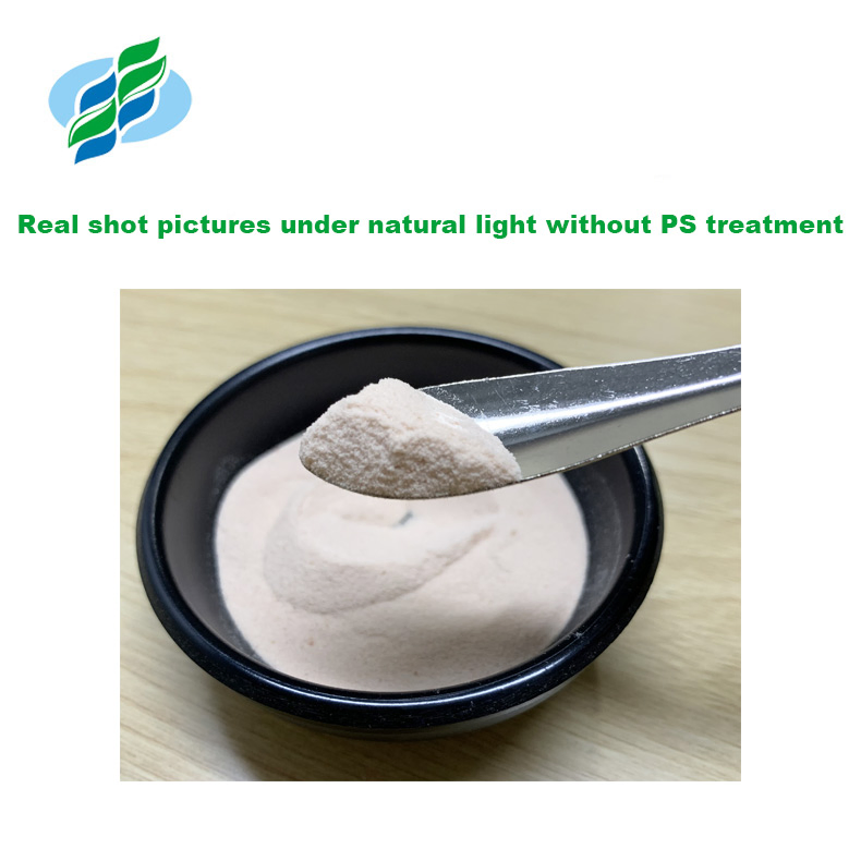 Nature Lotus Leaf Extract Water Soluble Nuciferin Powder Herbal Extract