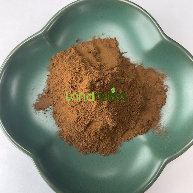 Wholesale Bulk Pure Organic Reishi Mushroom Extract Ganoderma Lucidum Powder Reishi Mushroom Extract Powder