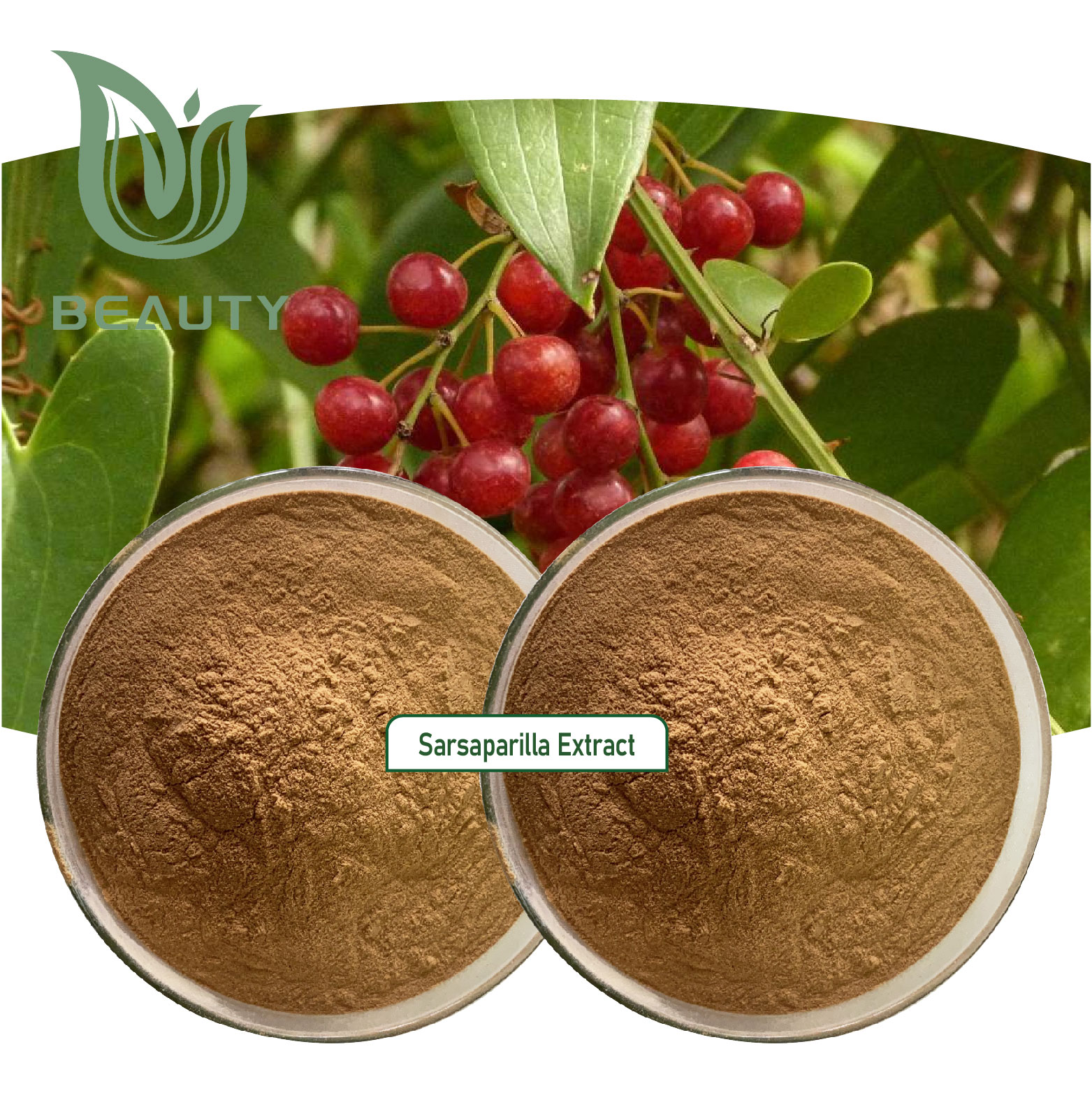 100% Natural Organic Sarsaparilla Extract Powder High Purity Immune Support Supplement Anti-Inflammatory Herb Bulk Wholesale