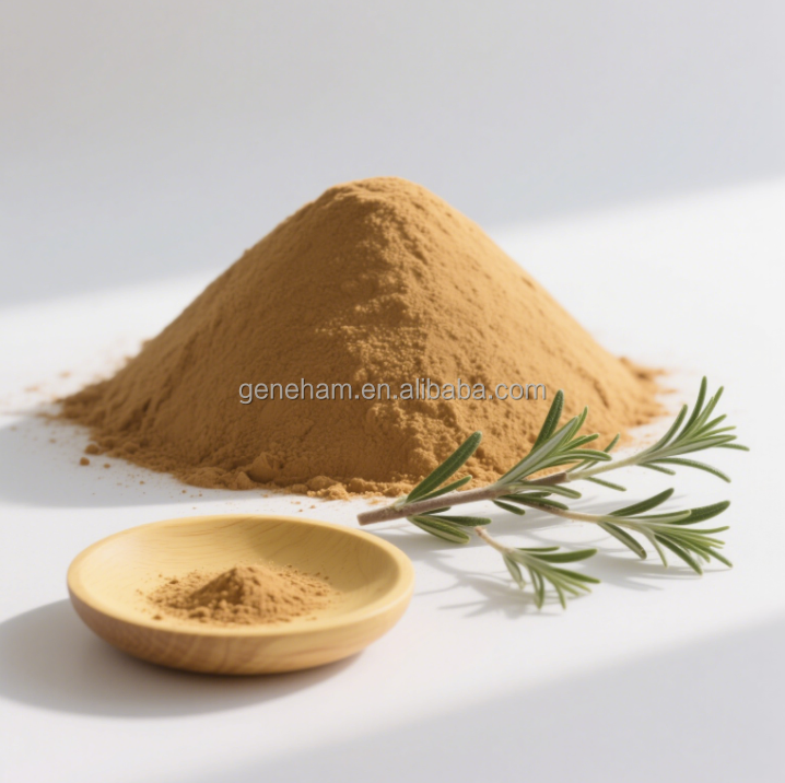 Carnosic Acid Oil-Soluble Rosemary Herbal Extract Food Grade Natural Preservative