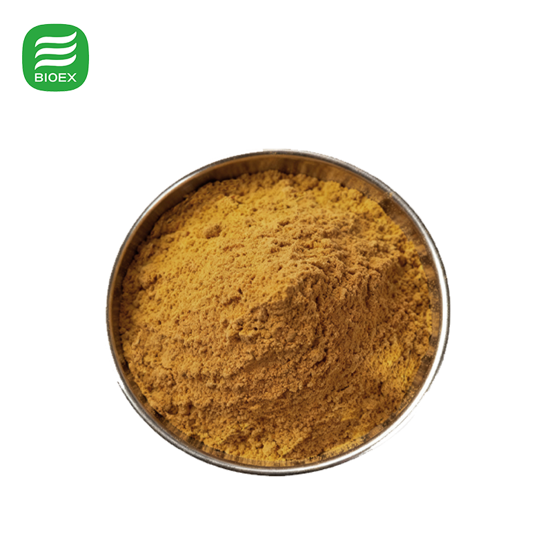 Certified Organic Milk Thistle Seed Extract Wholesale High Potency Silymarin Powder