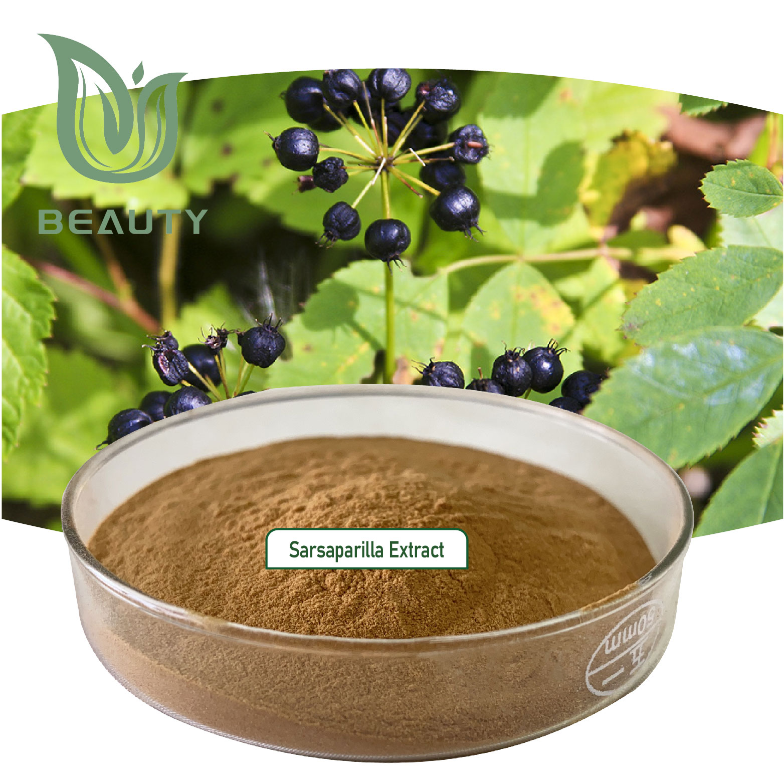 100% Natural Organic Sarsaparilla Extract Powder High Purity Immune Support Supplement Anti-Inflammatory Herb Bulk Wholesale
