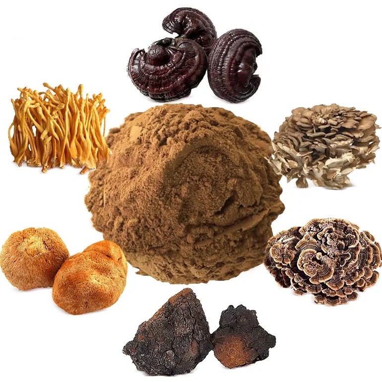 Private Label Top Quality Herbal Mushroom Extract Powder - USDA Organic - Lions Mane, Reishi, Cordyceps, Chaga, Turkey Tail