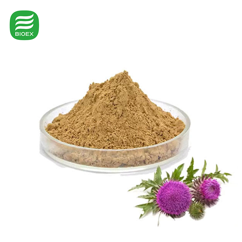 Certified Organic Milk Thistle Seed Extract Wholesale High Potency Silymarin Powder