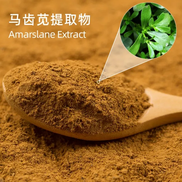 Herbal Extract Health Food Raw Materials Purslane Herbs Extract Powder
