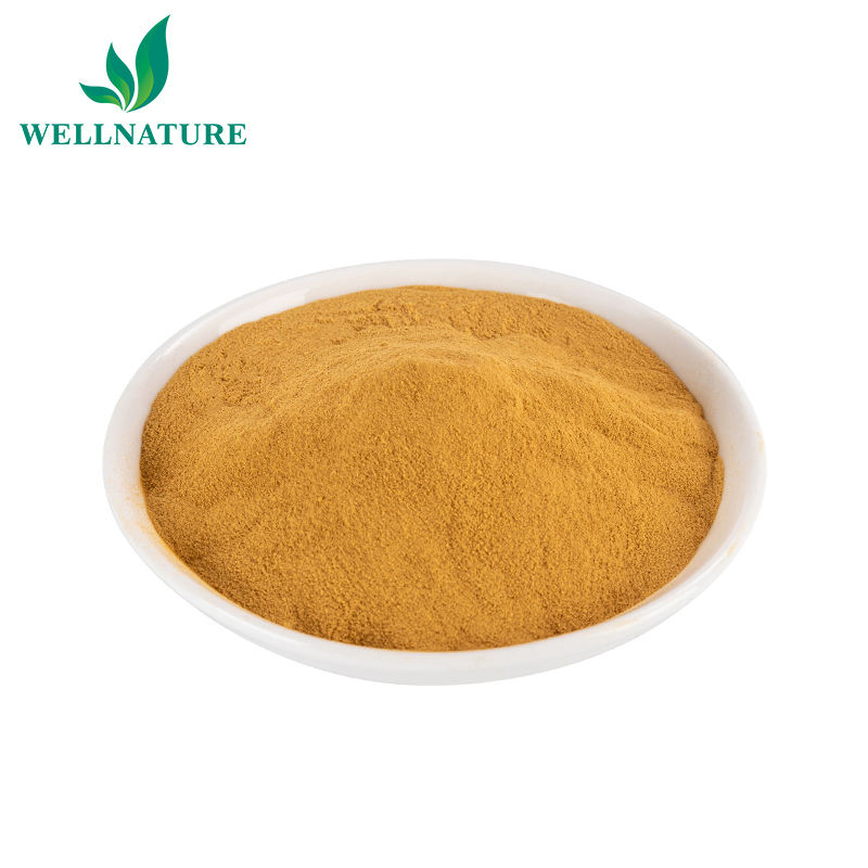 Best Price Green Tea Extract EGCG Green Tea Extract Powder Water Soluble Food Grade Herbal Extract