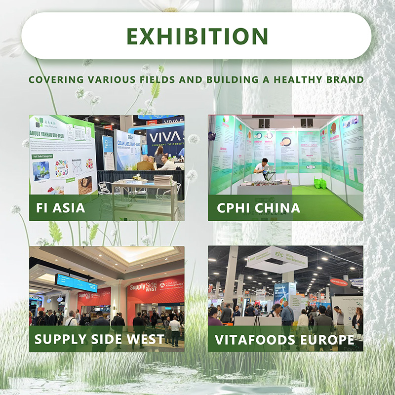 Solvent Extracted Apple Stem Cell Powder Herbal Fruit Extract Food Supplement for Cosmetics Drum Packaging