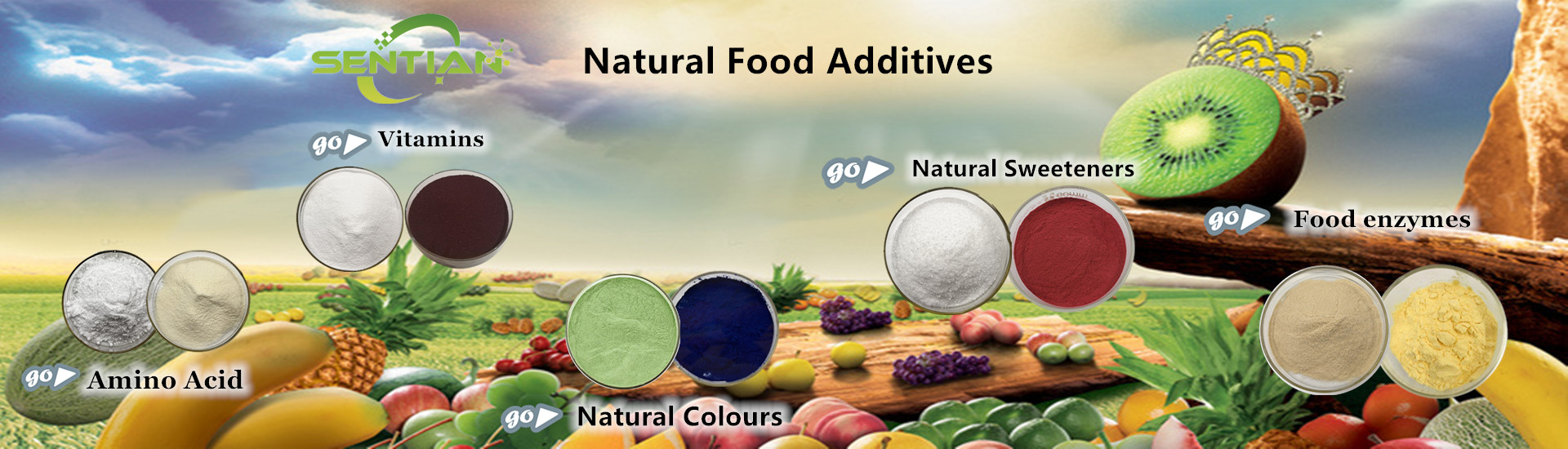 Ginseng Extract Banner