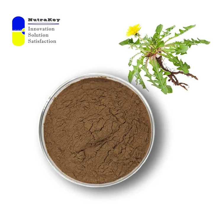 Premium Dandelion Root Extract 20% Taraxasterol | Natural Liver Support &amp; Anti-Inflammatory | Taraxacum Officinale Powder