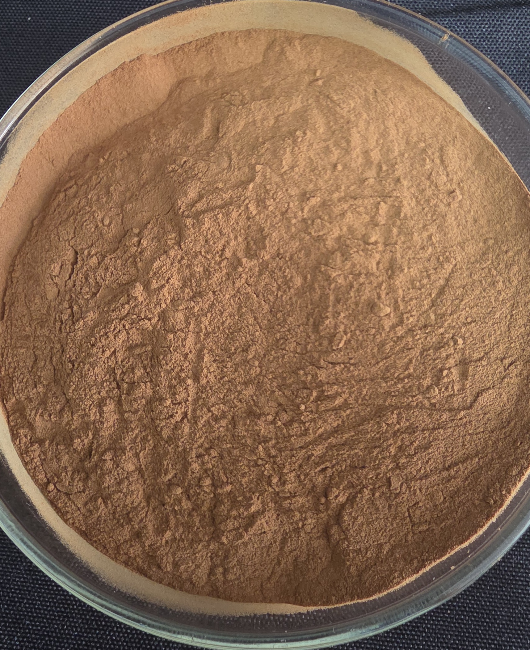 Organic Wild Cistanche Deserticola Extract Powder 10:1 Rou Cong Rong Natural Herbal Supplement Boosts Energy Vacuum Packed