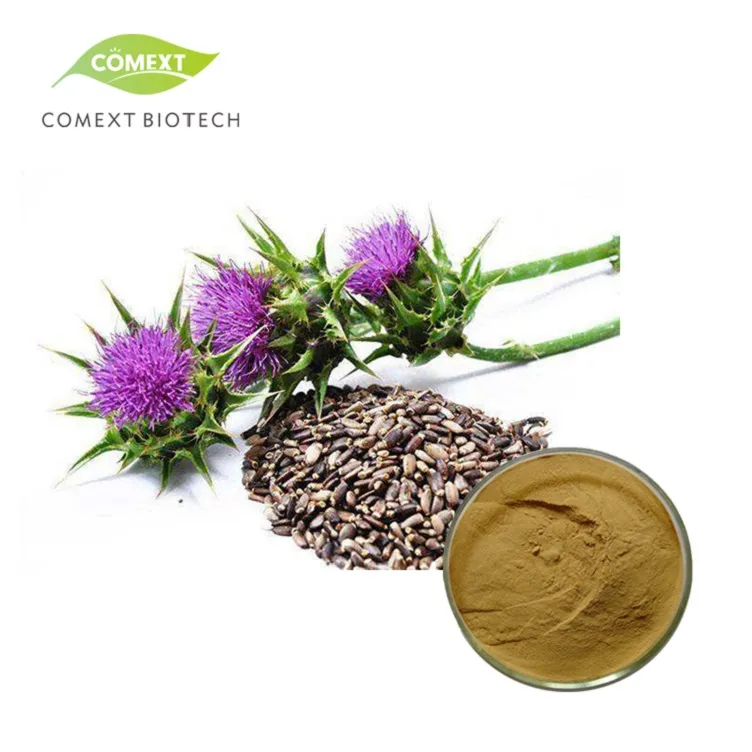 Herbal Silybum Marianum Plant Blessed Thistle Seed Powder 30% Silybins HPLC UV 40%~80% Water Soluble 40% Silymarin Milk Thistle Extract for Liver Health
