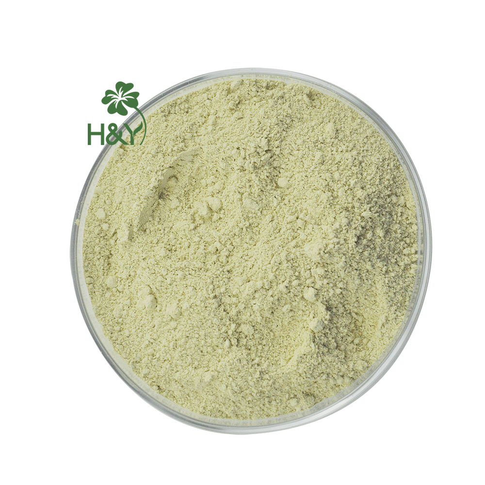 Healthway Supply Epimedium Extract 98% Icaritin Honey Goat Weed Extract Standard Extract Icaritin 98%