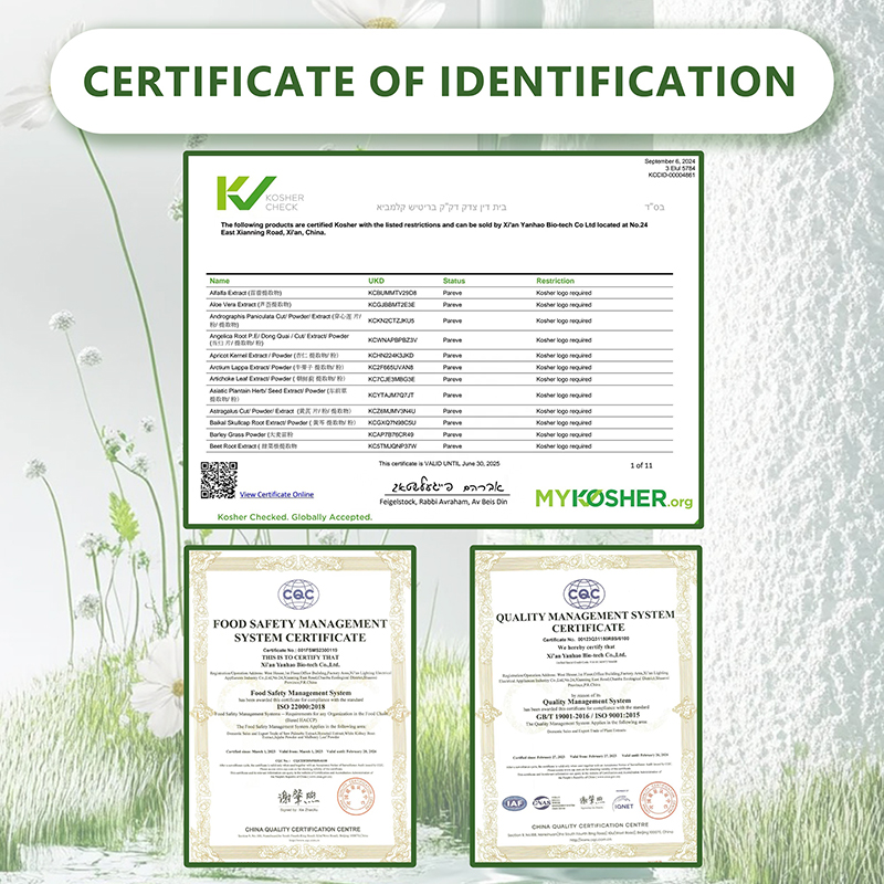Solvent Extracted Apple Stem Cell Powder Herbal Fruit Extract Food Supplement for Cosmetics Drum Packaging