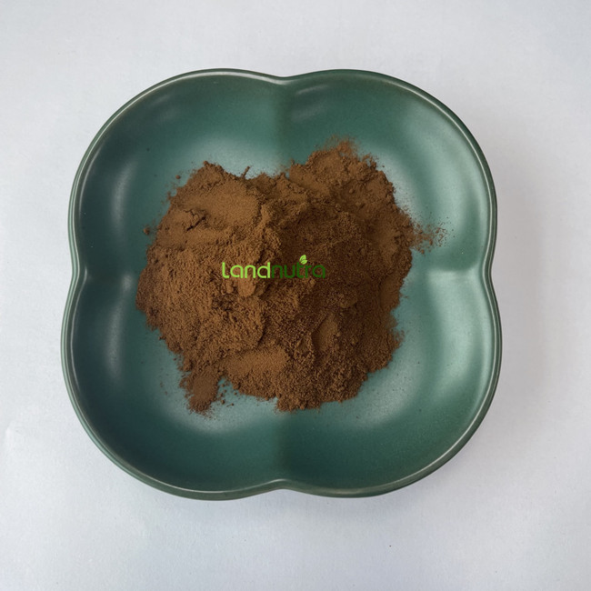 Wholesale Bulk Pure Organic Reishi Mushroom Extract Ganoderma Lucidum Powder Reishi Mushroom Extract Powder