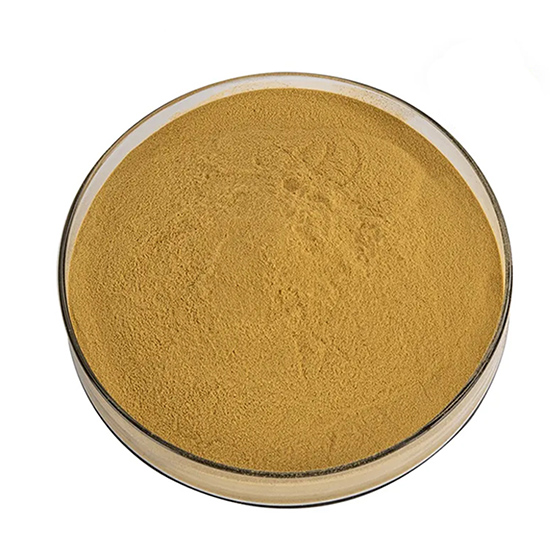 Organic Plant Extract Rosemary 5% 10% Carnosic Acid 3650-09-7 Water Soluble Rosemary Extract